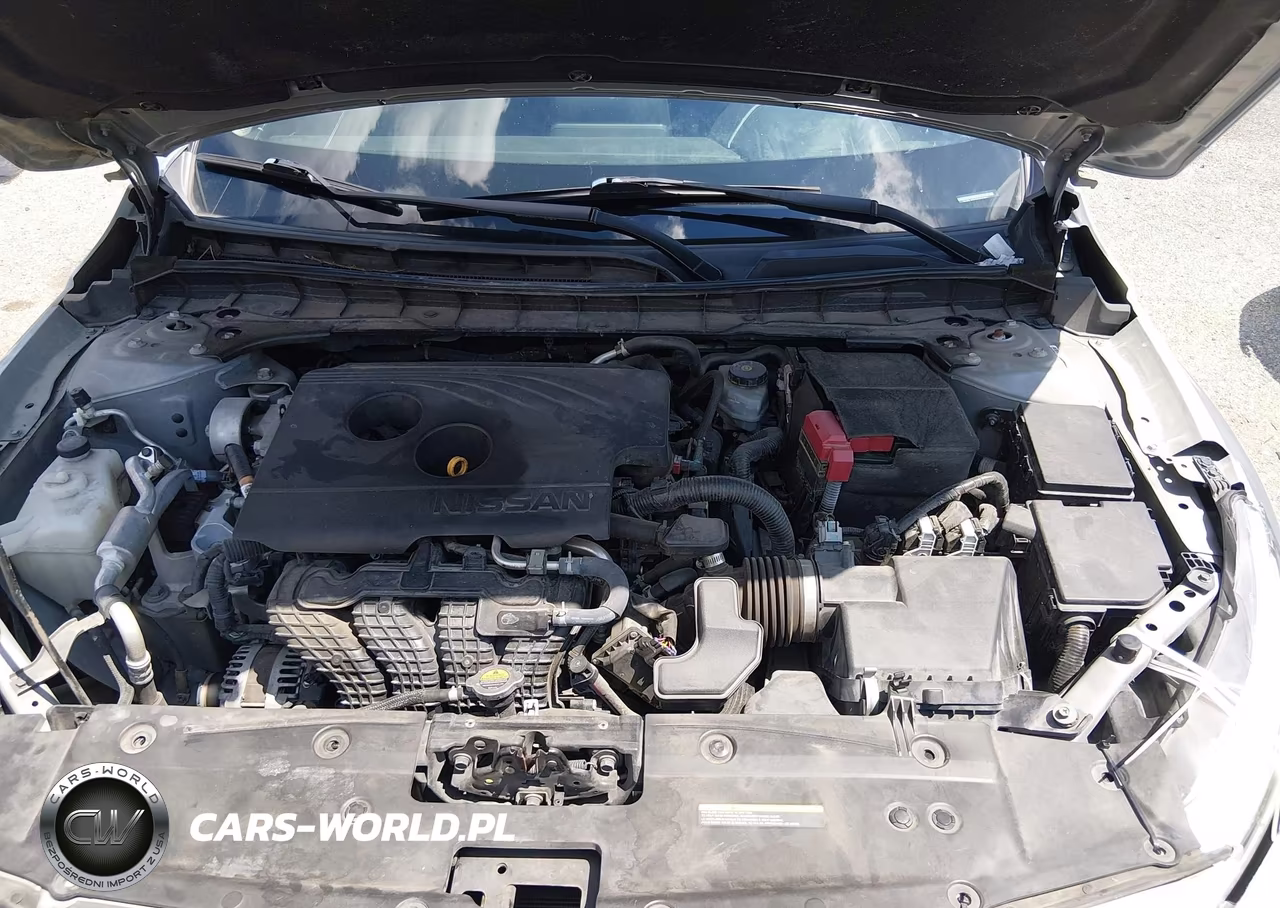 2019 Nissan Altima 2.5 Sv VIN:1N4BL4DV3KN302861 - 10