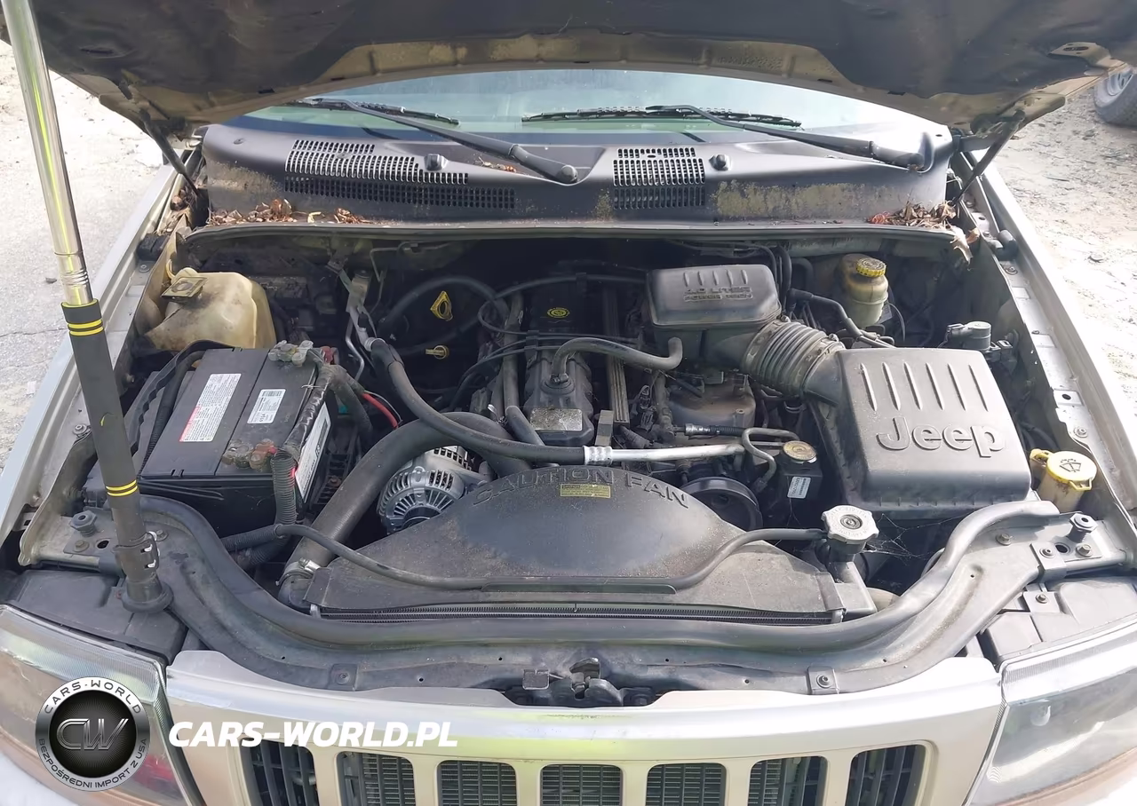 2004 Jeep Grand Cherokee Laredo VIN:1J4GW48SX4C191497 - 10