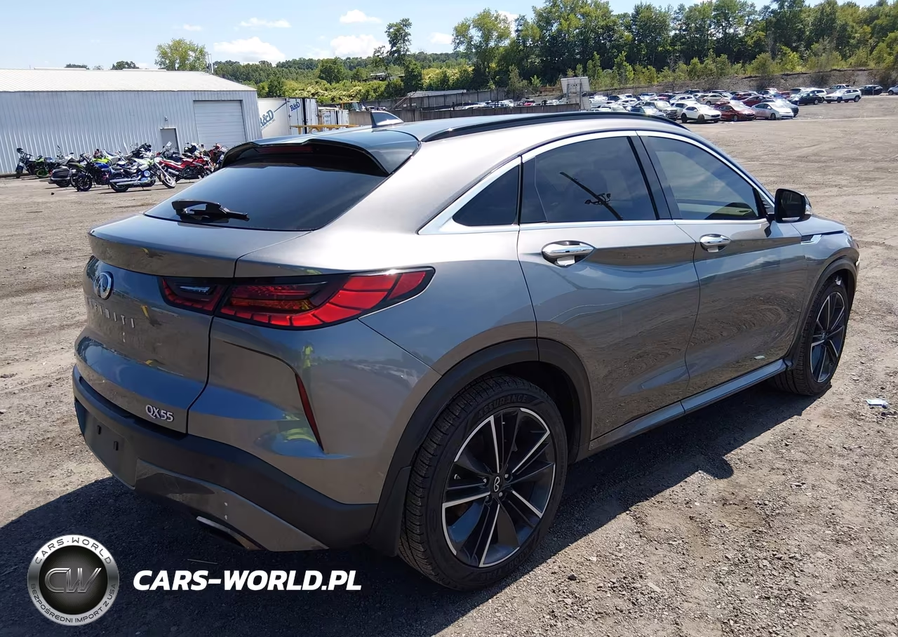 2022 Infiniti Qx55 Luxe Awd VIN:3PCAJ5J39NF101134 - 4