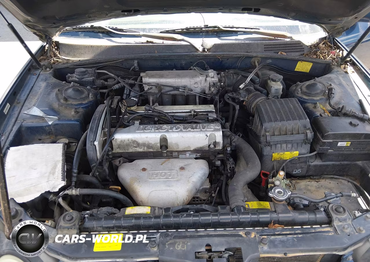 2004 Hyundai Sonata VIN:KMHWF25S84A997436 - 10