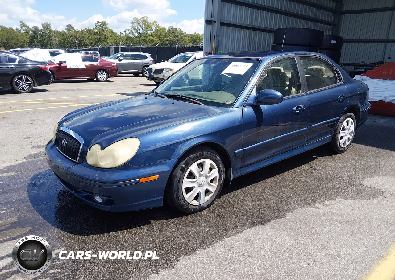 2004 Hyundai Sonata VIN:KMHWF25S84A997436 - 2
