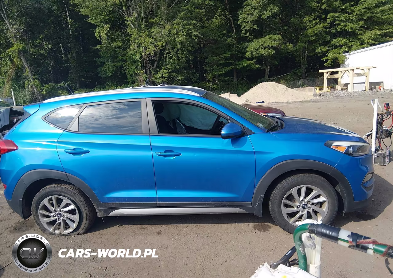 2017 Hyundai Tucson Se VIN:KM8J3CA46HU398751 - 13
