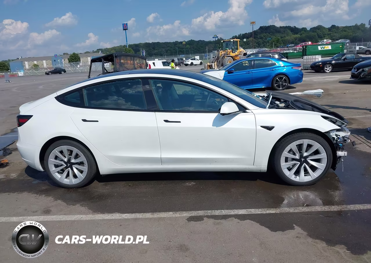 2023 Tesla Model 3 Rear-Wheel Drive VIN:5YJ3E1EA5PF650587 - 13