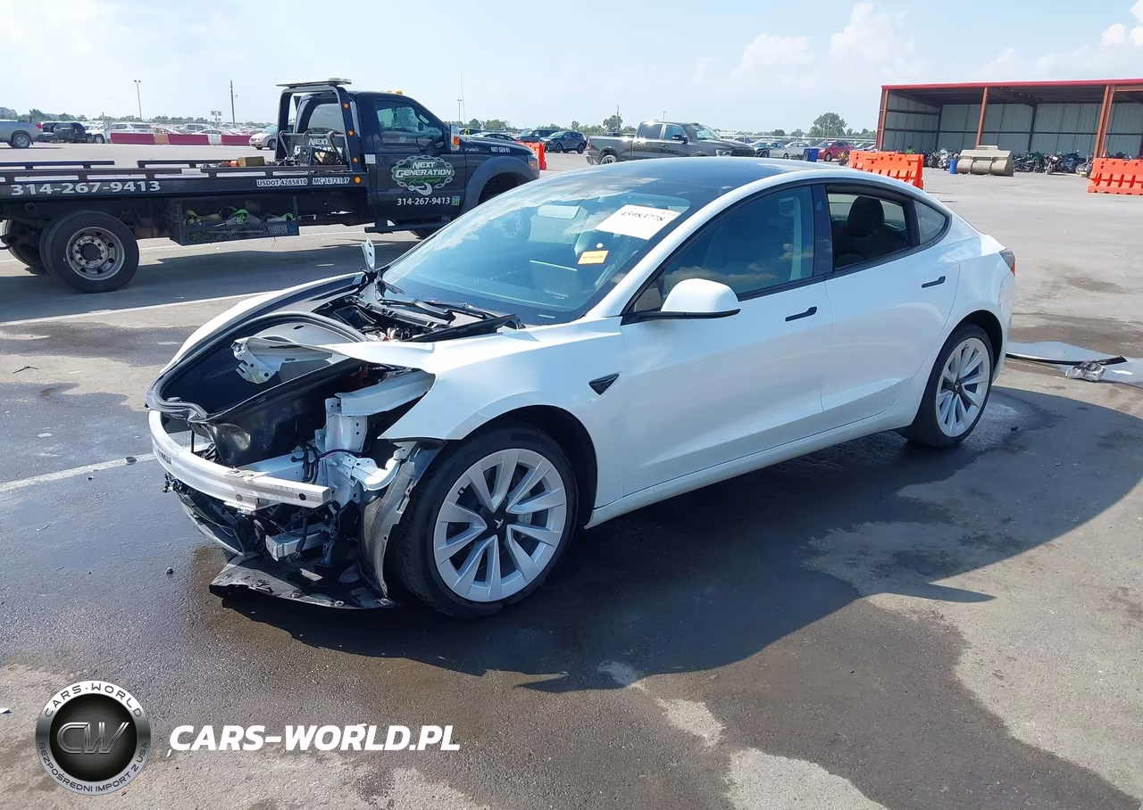 2023 Tesla Model 3 Rear-Wheel Drive VIN:5YJ3E1EA5PF650587 - 2