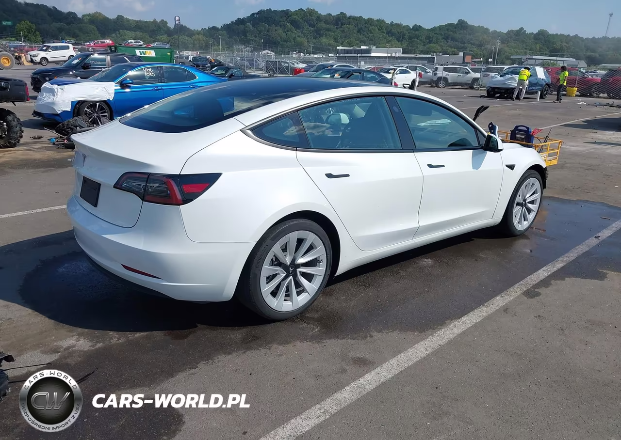 2023 Tesla Model 3 Rear-Wheel Drive VIN:5YJ3E1EA5PF650587 - 4