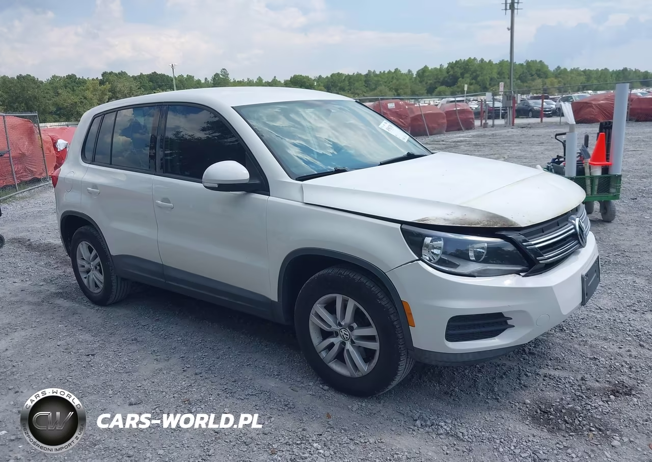 2013 Volkswagen Tiguan S VIN:WVGAV3AX5DW561554 - 1