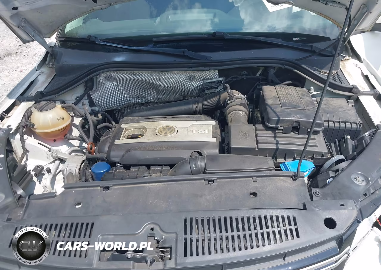 2013 Volkswagen Tiguan S VIN:WVGAV3AX5DW561554 - 10