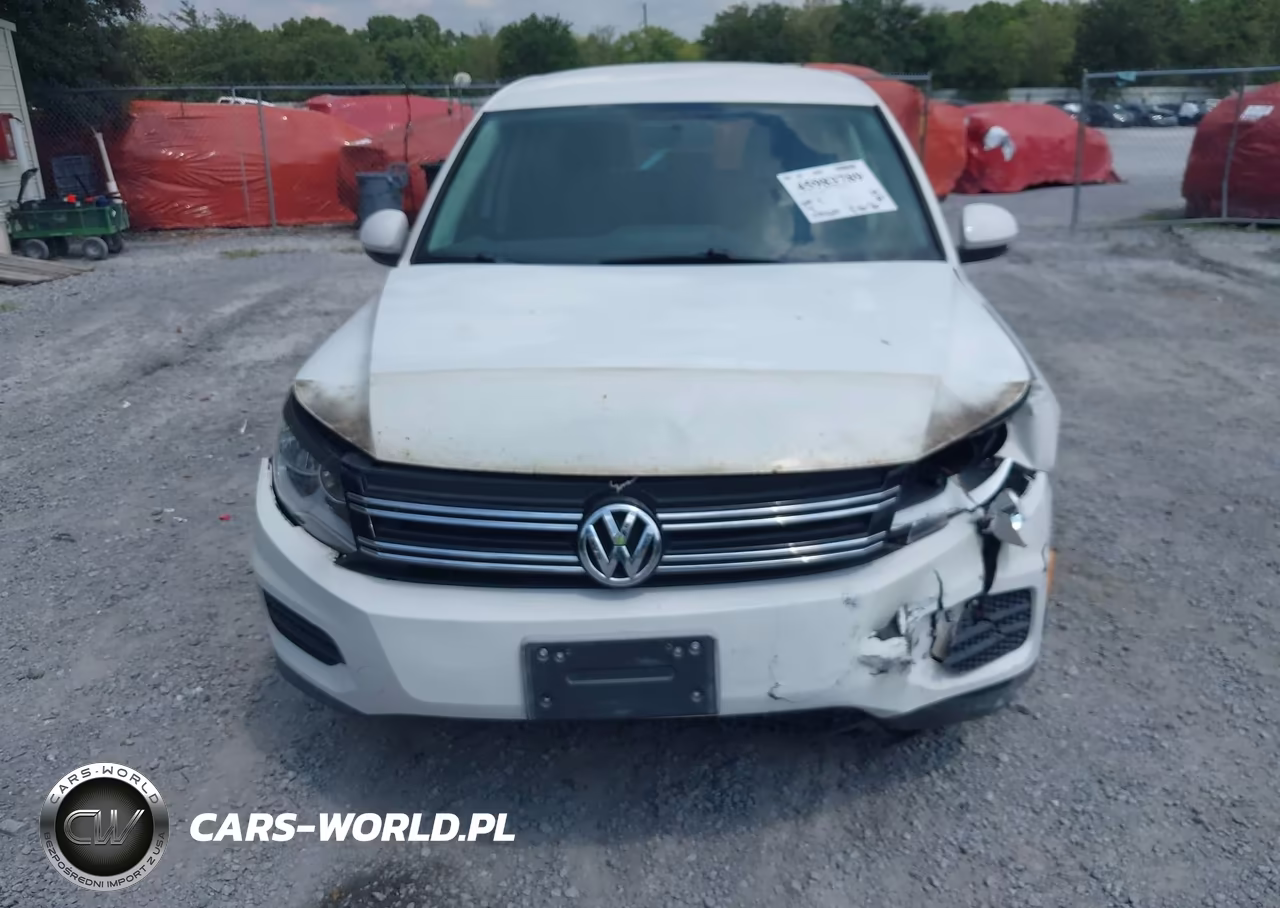 2013 Volkswagen Tiguan S VIN:WVGAV3AX5DW561554 - 13