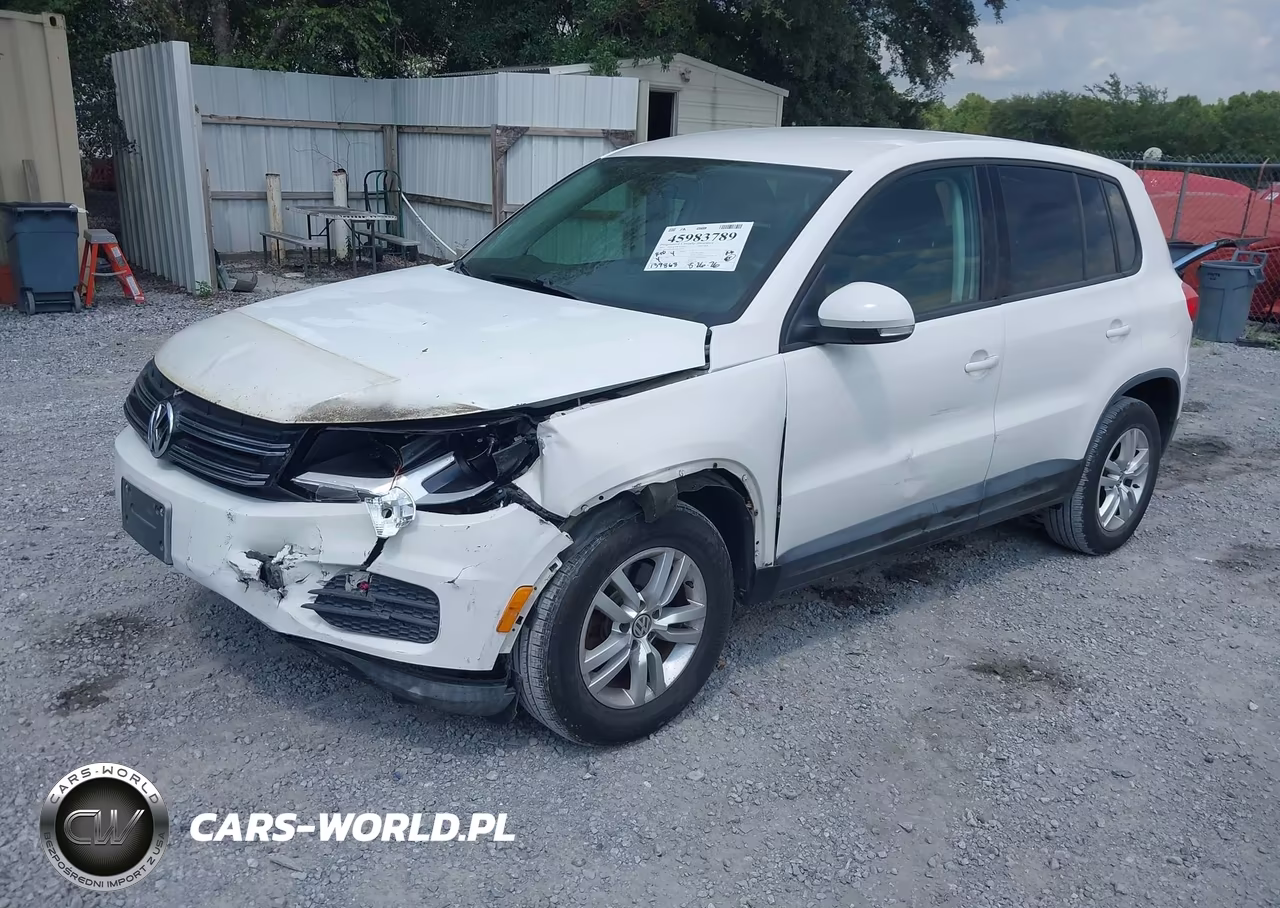 2013 Volkswagen Tiguan S VIN:WVGAV3AX5DW561554 - 2
