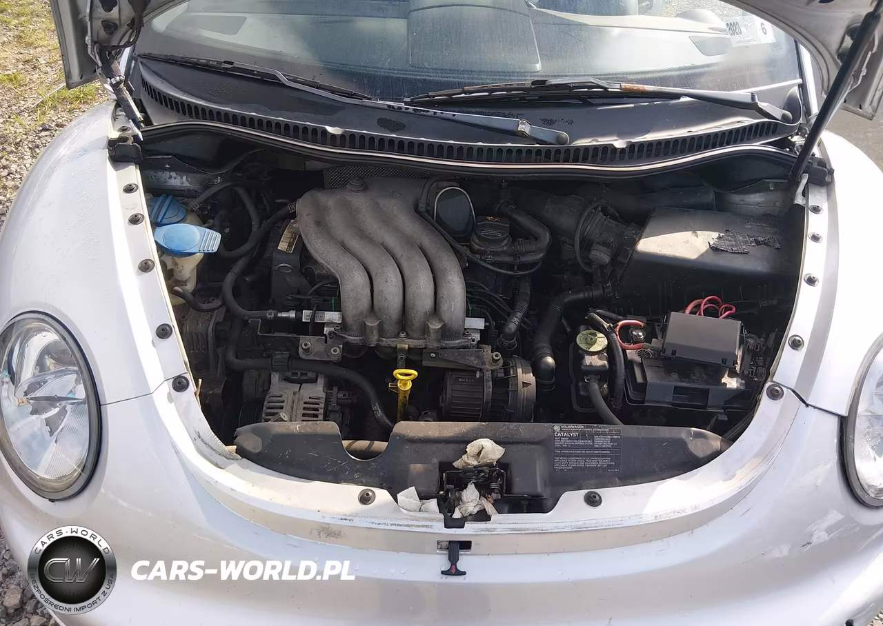 2005 Volkswagen New Beetle Gls VIN:3VWCK31C95M409682 - 10