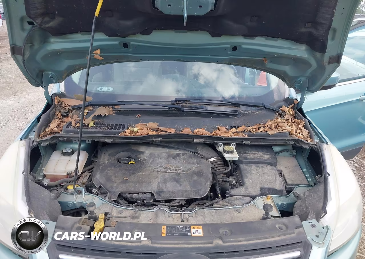 2013 Ford Escape Se VIN:1FMCU0GX8DUC12112 - 10
