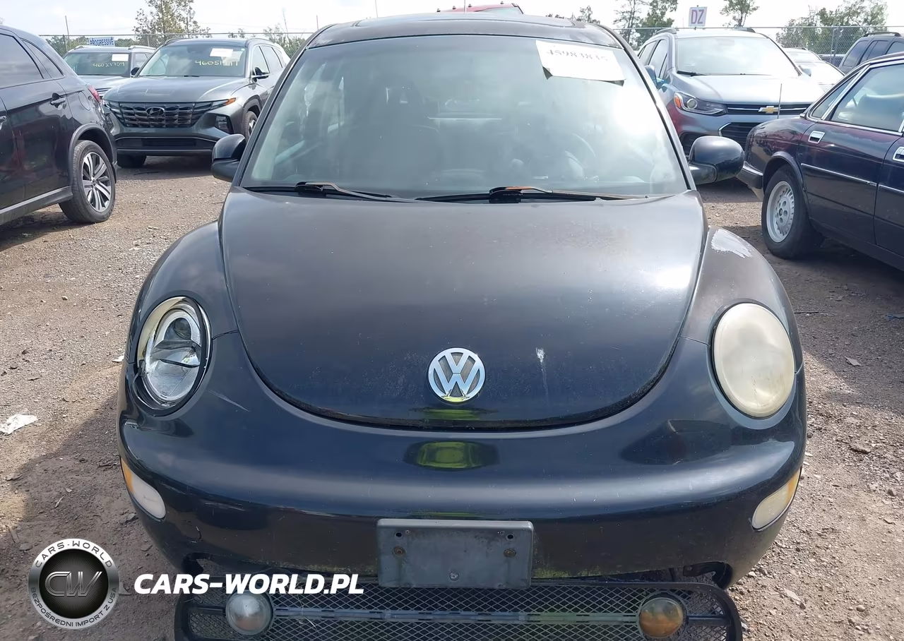 2002 Volkswagen New Beetle Sport VIN:3VWED21C32M446011 - 6