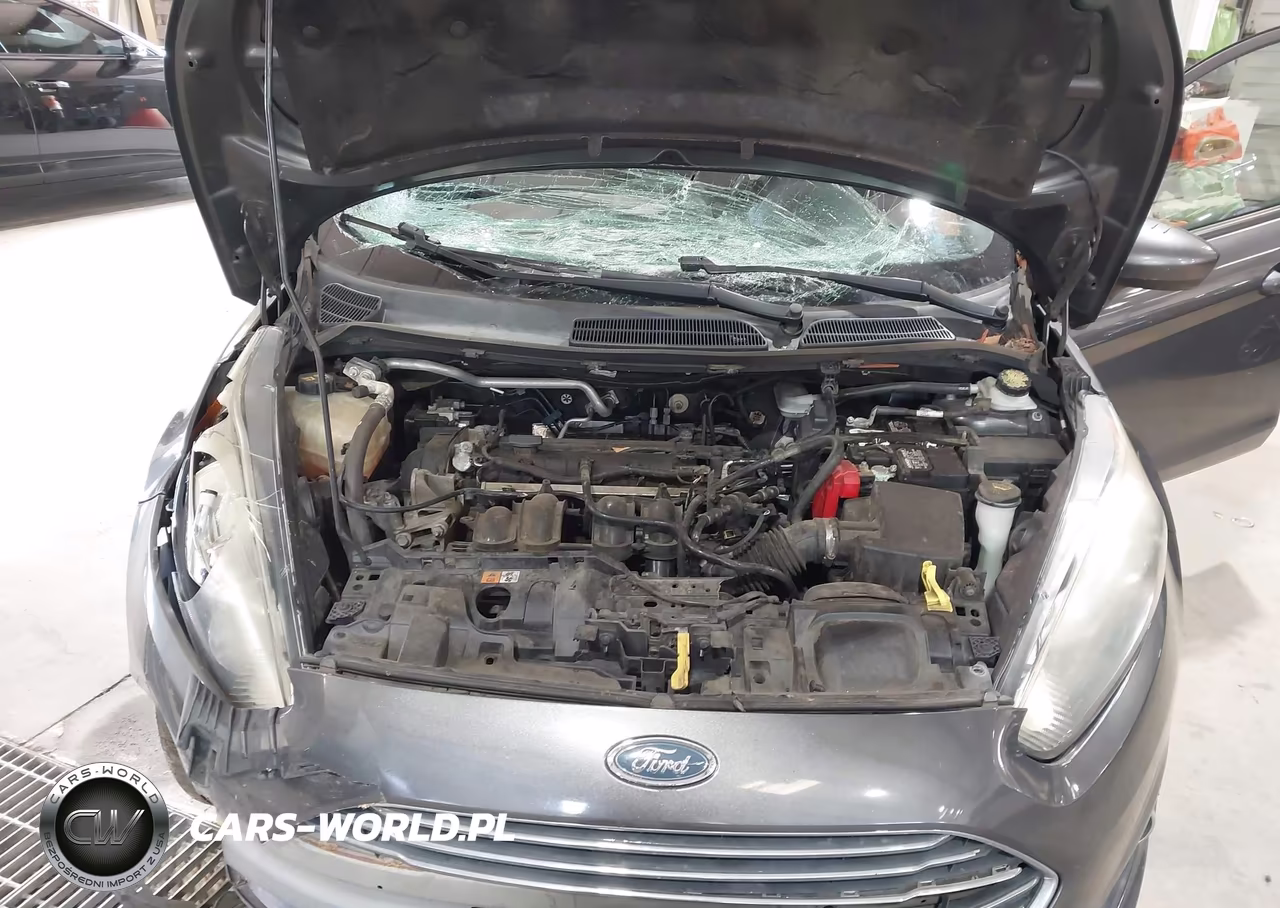 2017 Ford Fiesta Se VIN:3FADP4BJ8HM115969 - 10