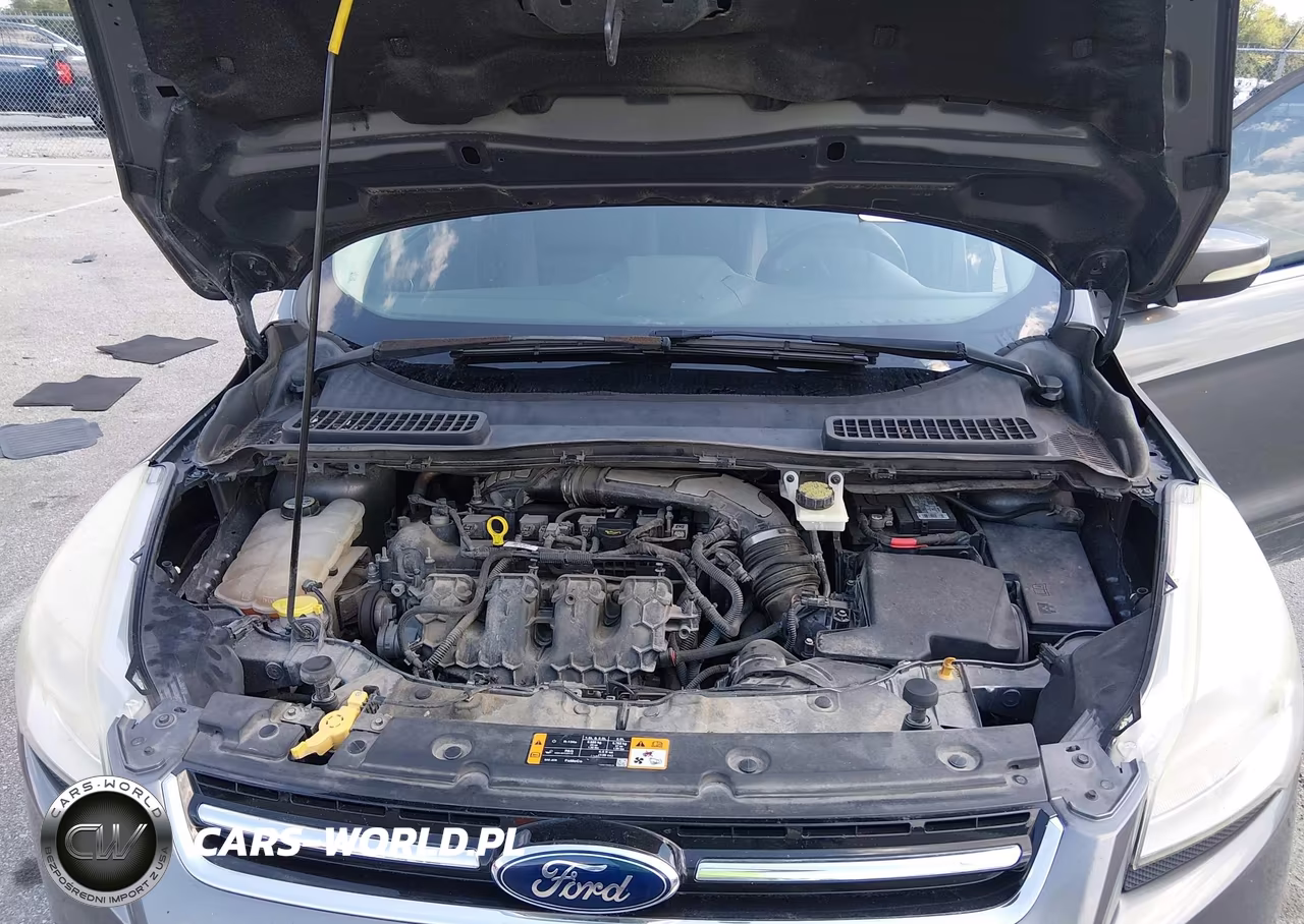 2013 Ford Escape Sel VIN:1FMCU0H90DUA79636 - 10