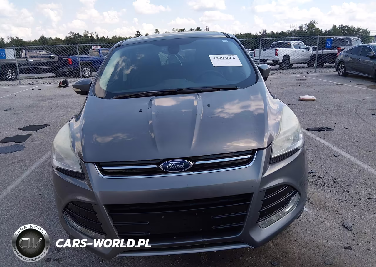 2013 Ford Escape Sel VIN:1FMCU0H90DUA79636 - 12