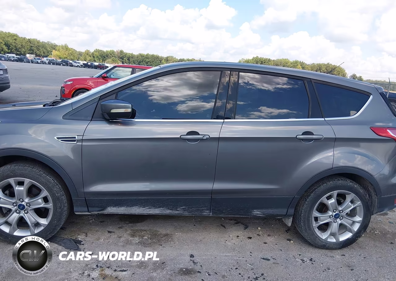 2013 Ford Escape Sel VIN:1FMCU0H90DUA79636 - 14