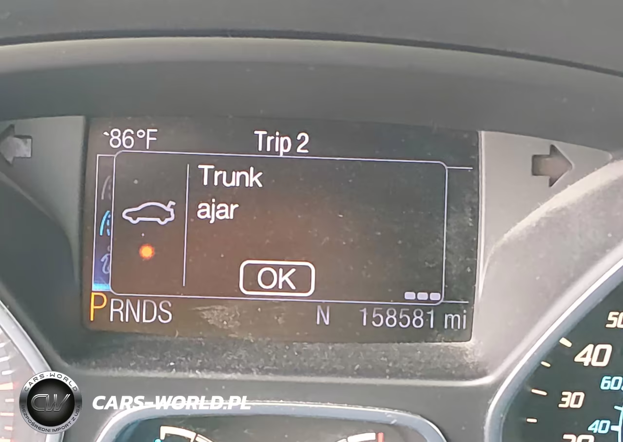 2013 Ford Escape Sel VIN:1FMCU0H90DUA79636 - 15
