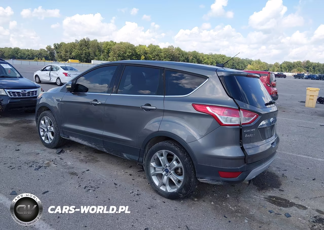 2013 Ford Escape Sel VIN:1FMCU0H90DUA79636 - 3