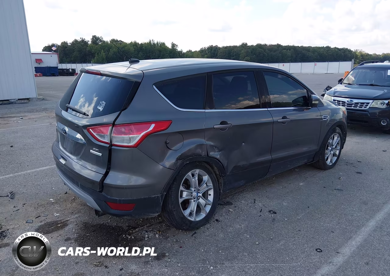 2013 Ford Escape Sel VIN:1FMCU0H90DUA79636 - 4