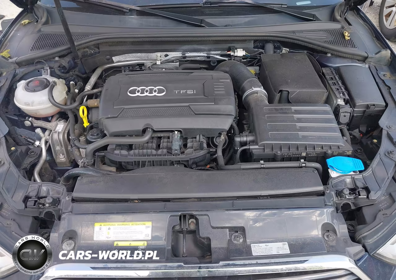 2018 Audi A3 2.0T Premium-2.0T Tech Premium VIN:WAUJ8GFF2J1080699 - 10