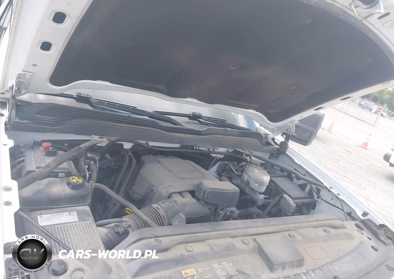 2019 Chevrolet Silverado 2500Hd Wt VIN:1GC1CREGXKF232191 - 10