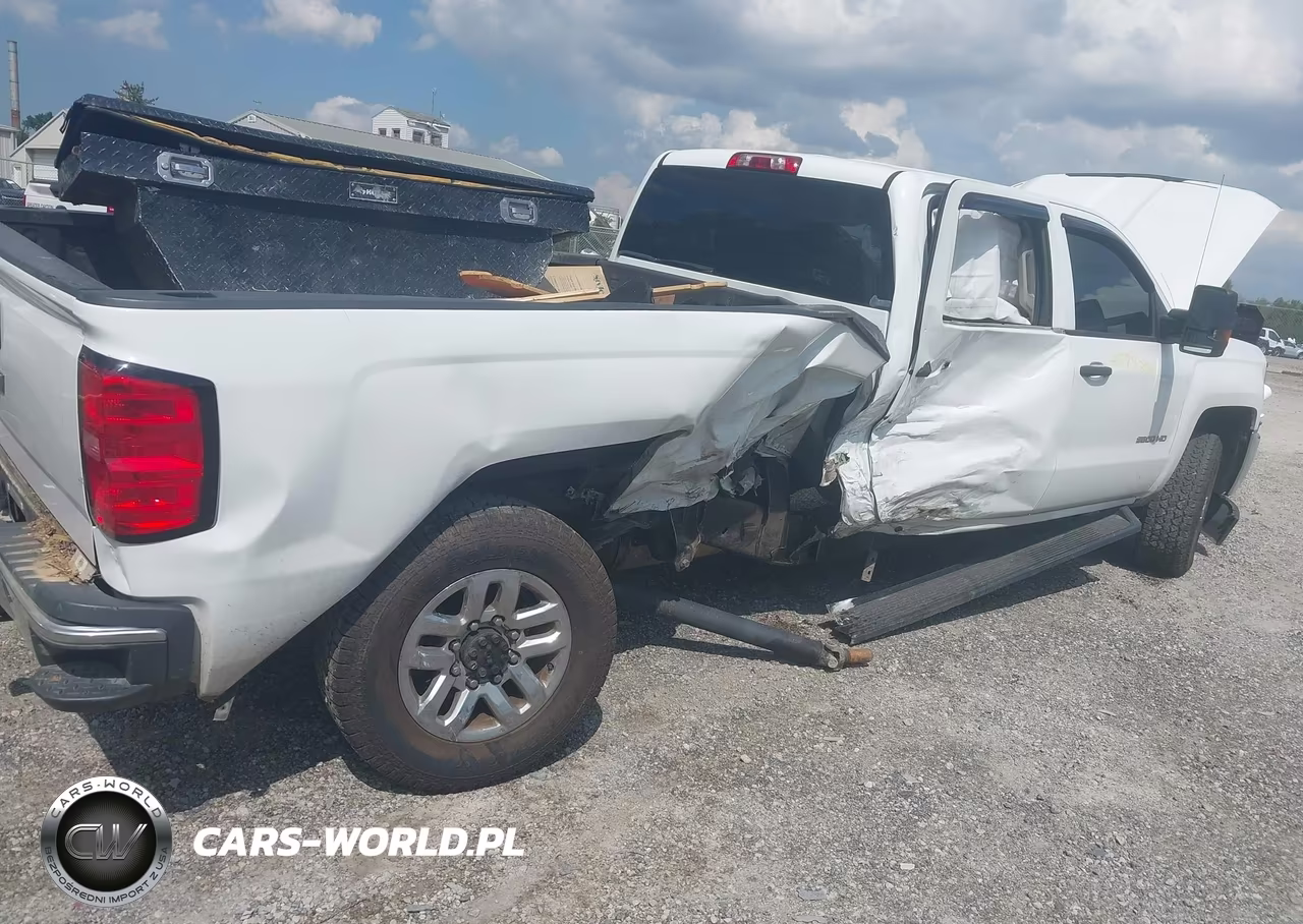 2019 Chevrolet Silverado 2500Hd Wt VIN:1GC1CREGXKF232191 - 17