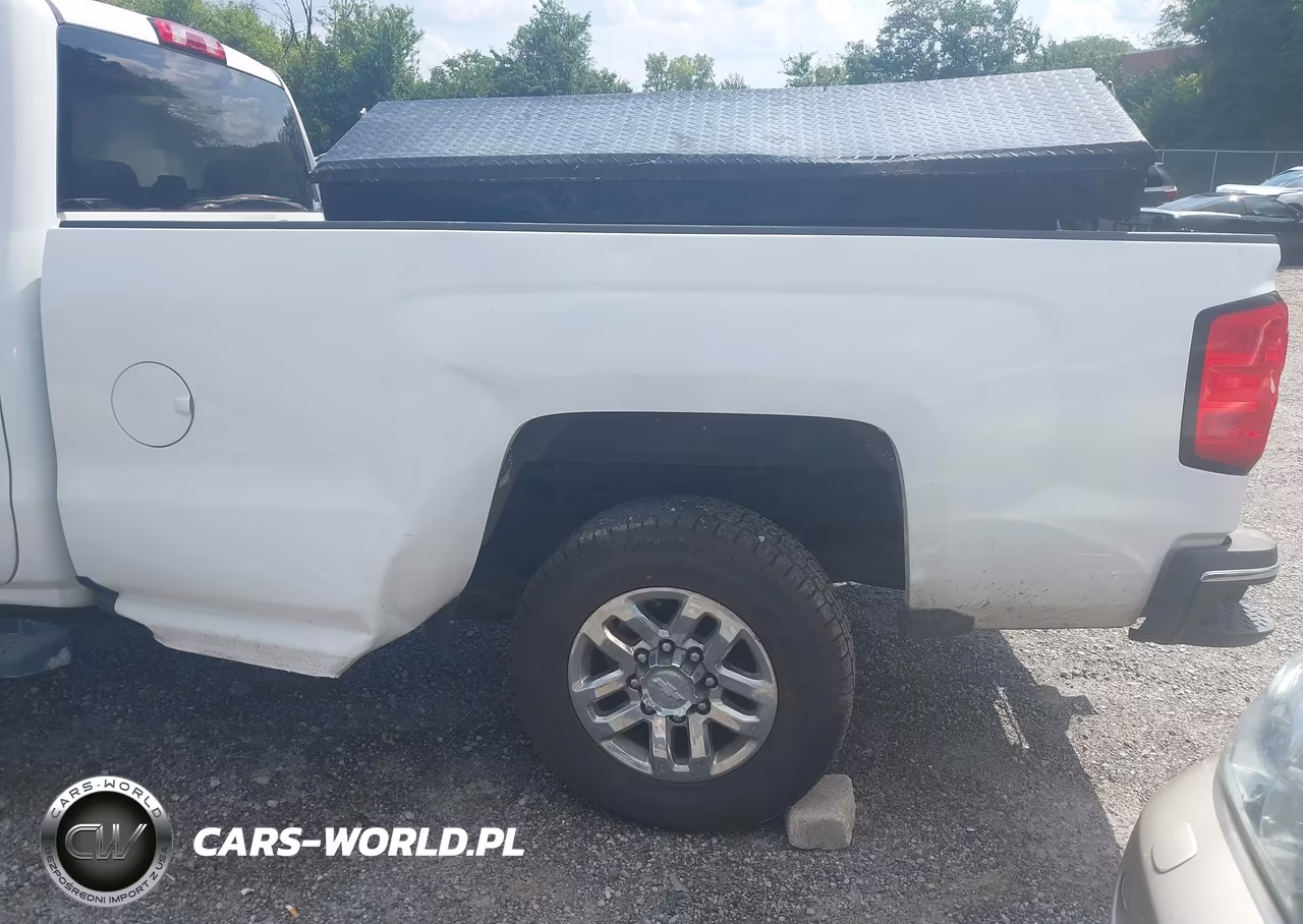 2019 Chevrolet Silverado 2500Hd Wt VIN:1GC1CREGXKF232191 - 18