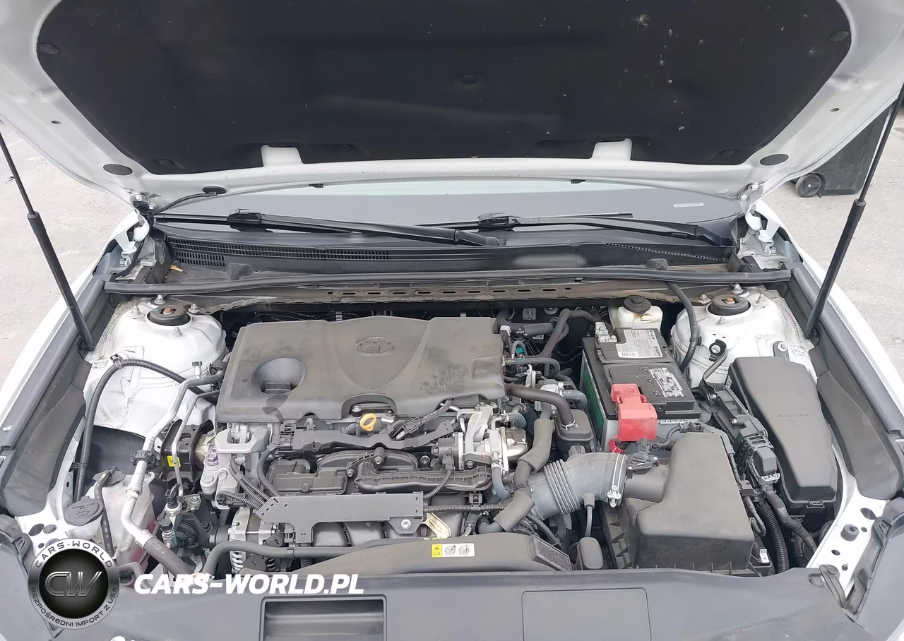 2019 Toyota Camry Xse VIN:4T1B61HK6KU247565 - 10