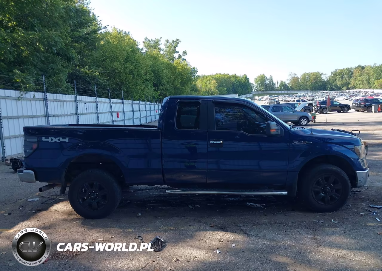 2010 Ford F-150 Xlt VIN:1FTFX1EV2AFD17597 - 13