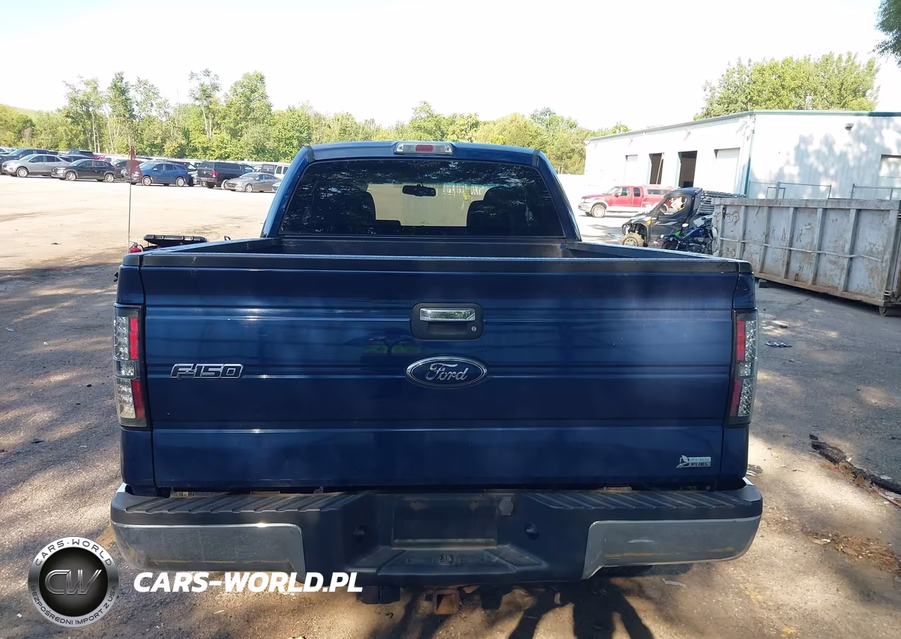 2010 Ford F-150 Xlt VIN:1FTFX1EV2AFD17597 - 16