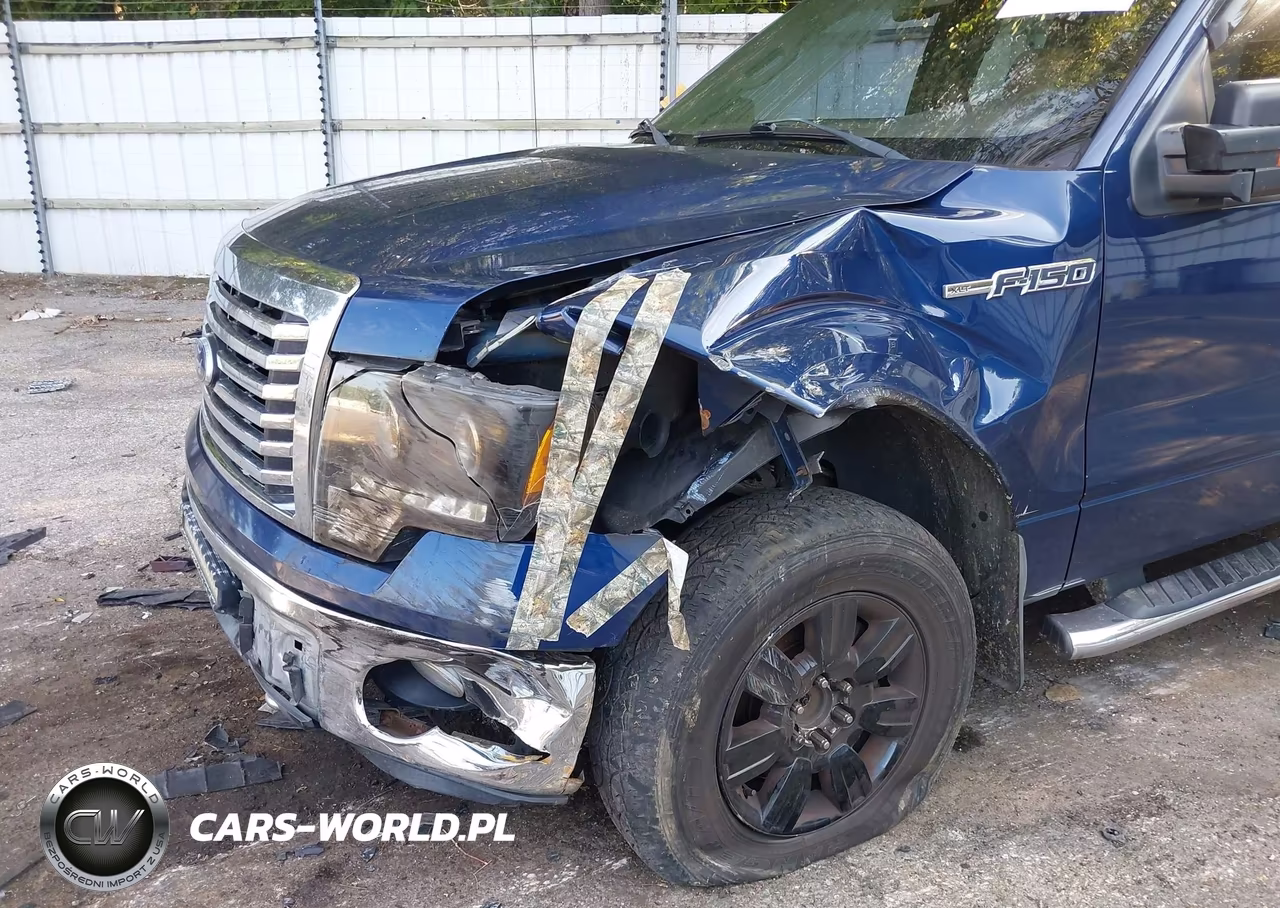 2010 Ford F-150 Xlt VIN:1FTFX1EV2AFD17597 - 6