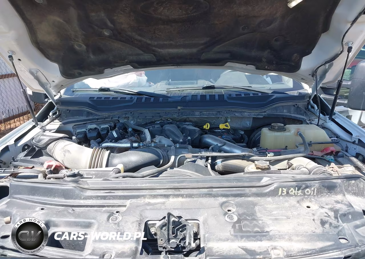 2017 Ford F-250 Xl VIN:1FT7X2BT3HEE31699 - 10