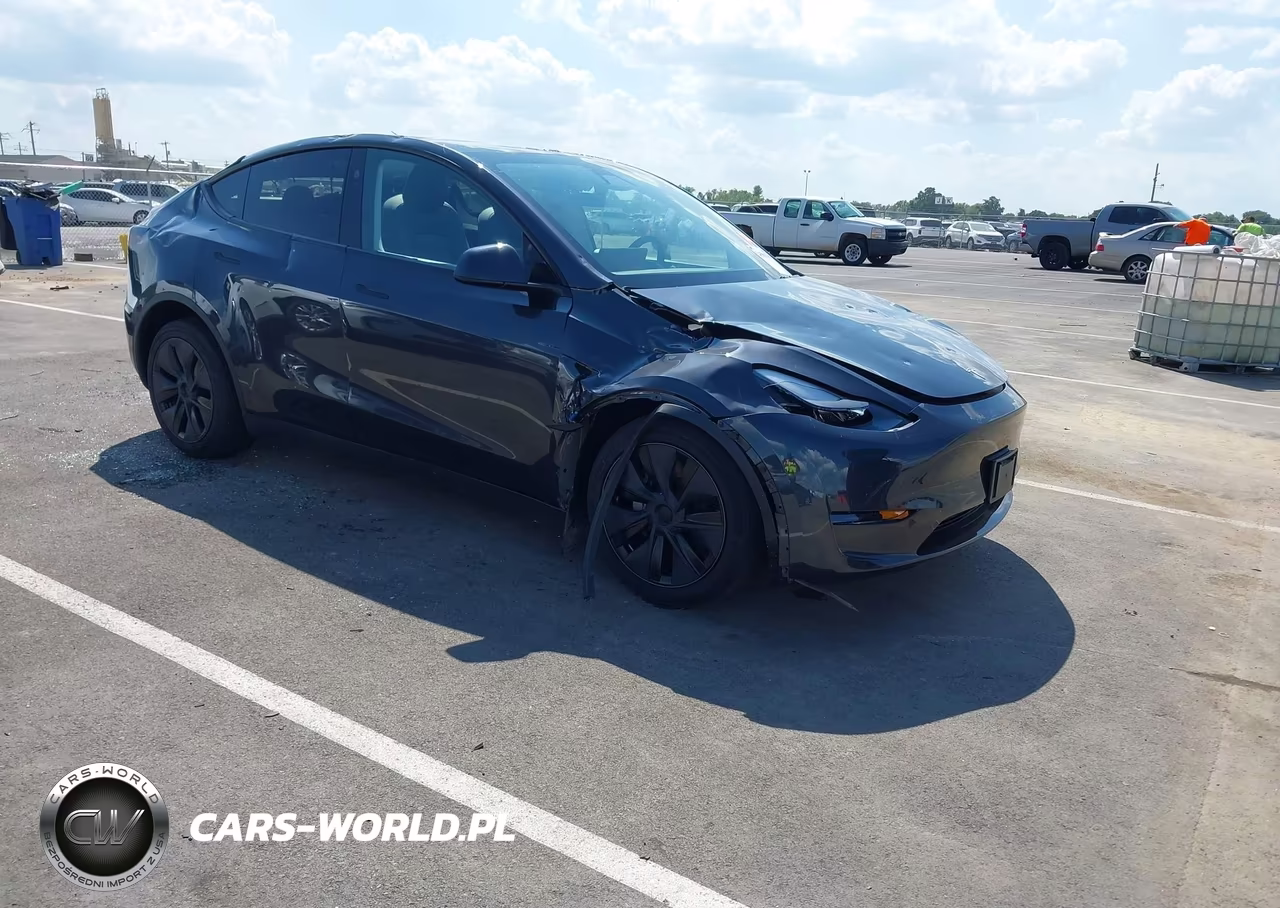 2025 Tesla Model Y Long Range Dual Motor All-Wheel Drive VIN:7SAYGDEE0SF282688 - 1