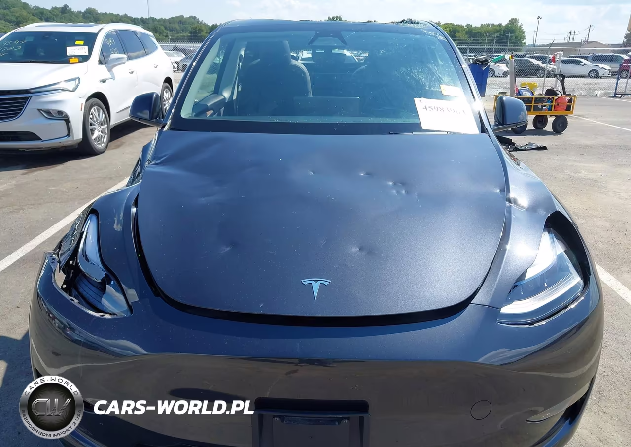 2025 Tesla Model Y Long Range Dual Motor All-Wheel Drive VIN:7SAYGDEE0SF282688 - 10