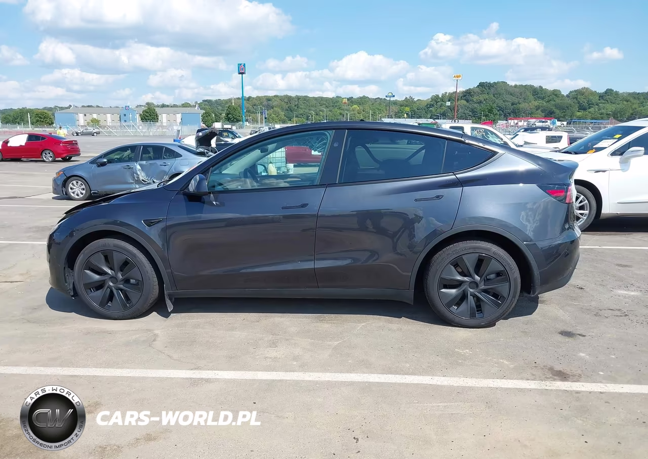2025 Tesla Model Y Long Range Dual Motor All-Wheel Drive VIN:7SAYGDEE0SF282688 - 15