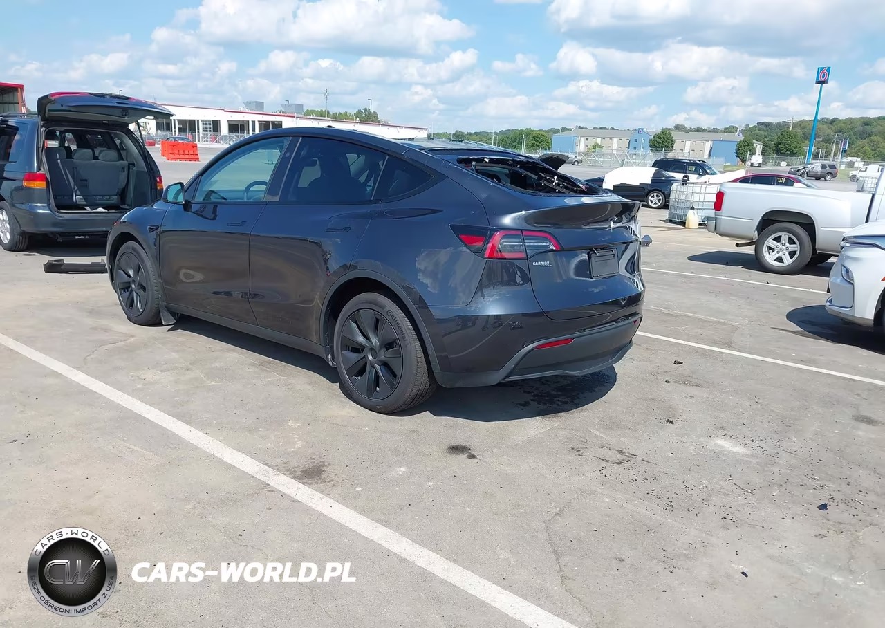 2025 Tesla Model Y Long Range Dual Motor All-Wheel Drive VIN:7SAYGDEE0SF282688 - 3