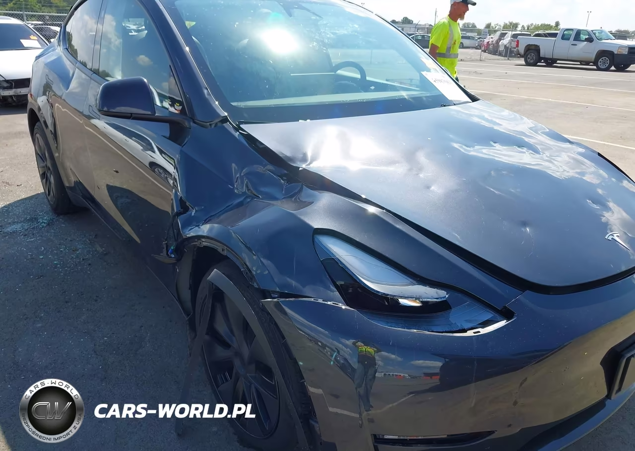 2025 Tesla Model Y Long Range Dual Motor All-Wheel Drive VIN:7SAYGDEE0SF282688 - 6