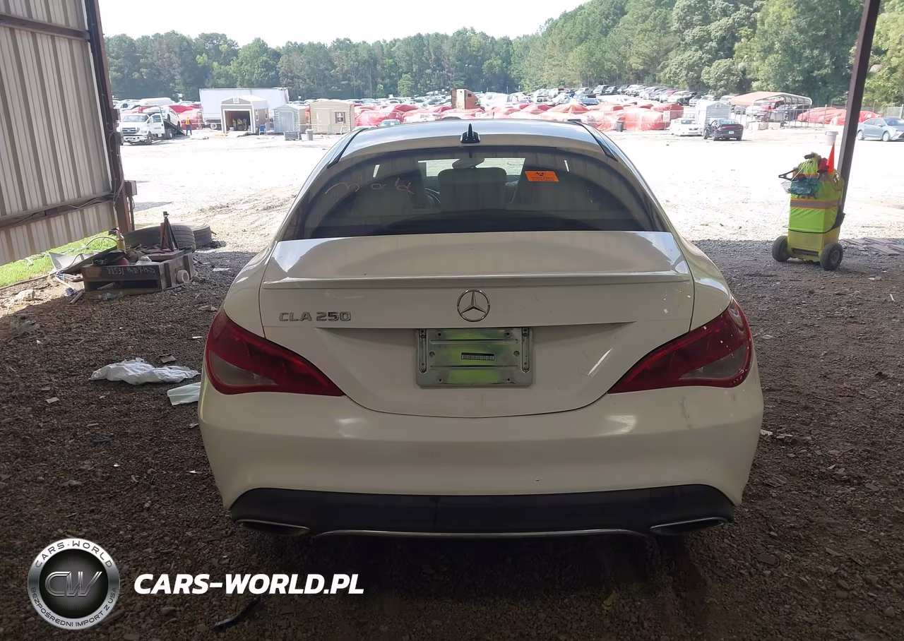 2019 Mercedes-Benz Cla 250 VIN:WDDSJ4EB2KN725408 - 16