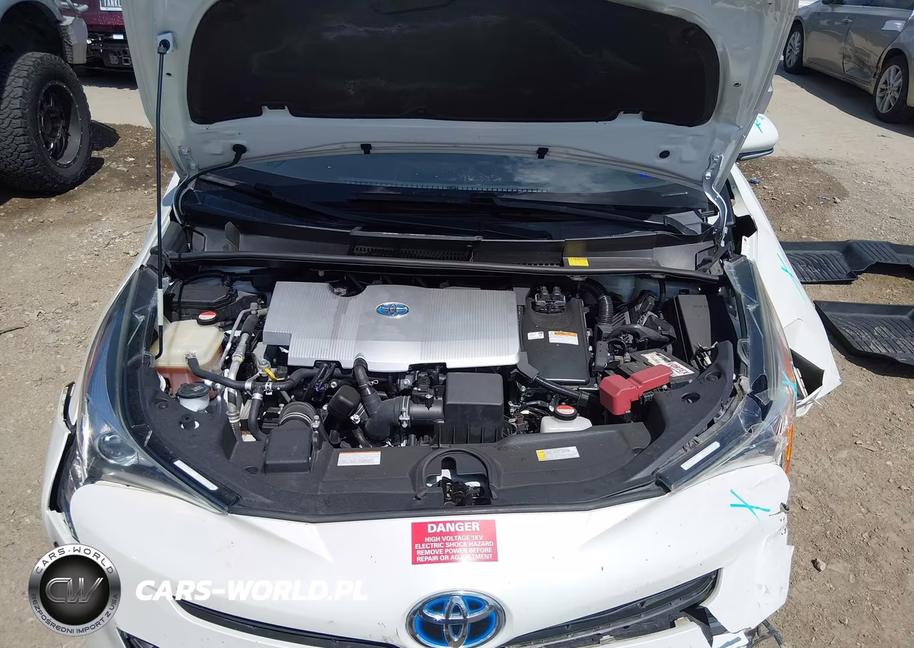 2016 Toyota Prius Two VIN:JTDKBRFU0G3509886 - 10