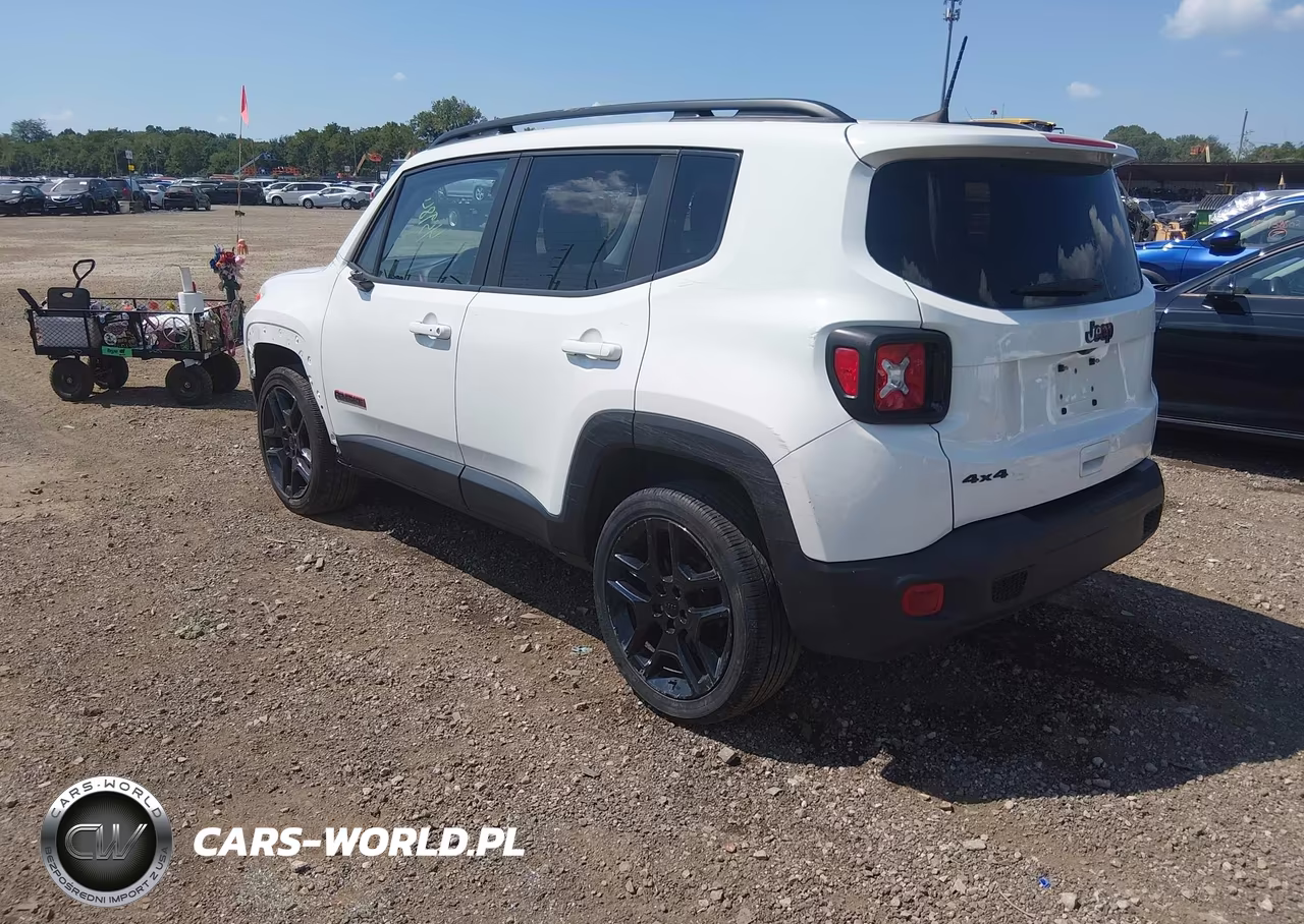 2020 Jeep Renegade Orange Edition 4X4 VIN:ZACNJBBB5LPL76279 - 3
