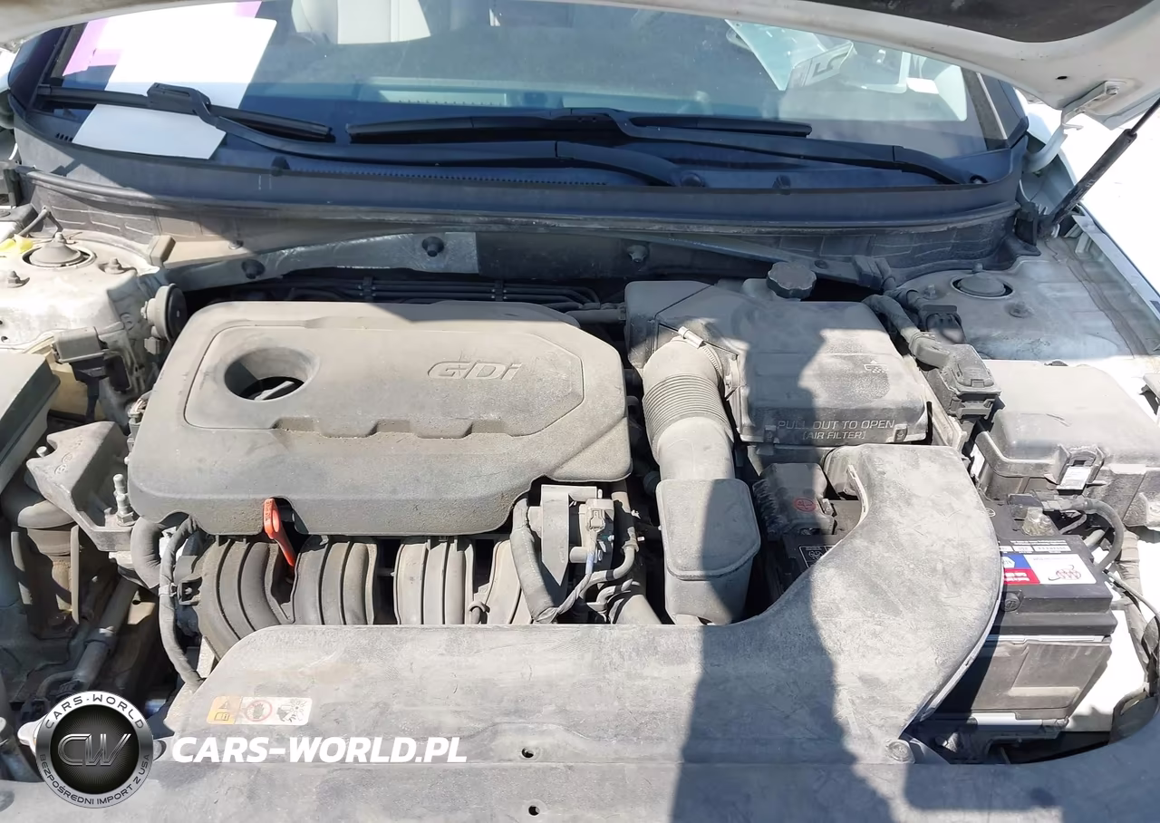 2016 Hyundai Sonata Se VIN:5NPE24AF2GH353301 - 10