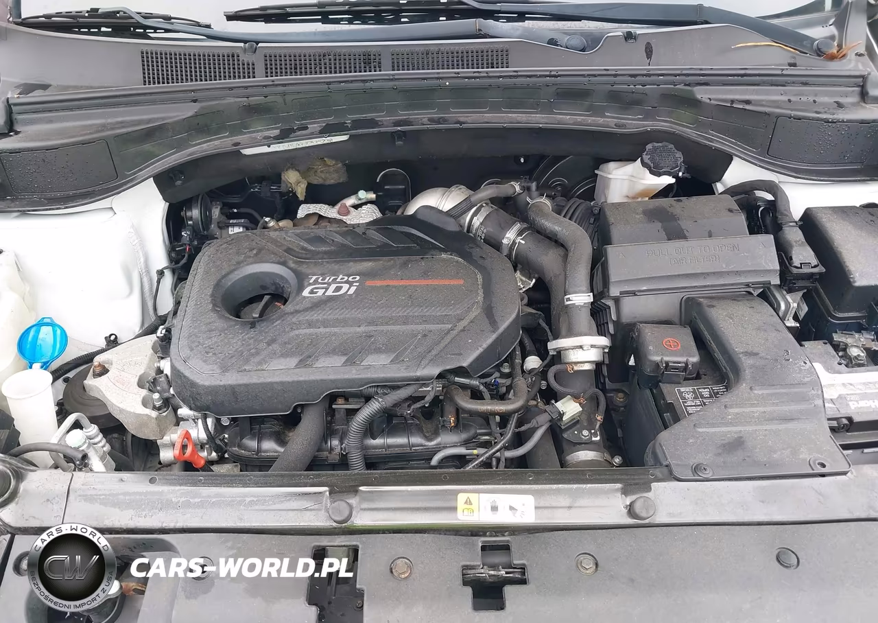 2018 Hyundai Santa Fe Sport 2.0T Ultimate VIN:5XYZWDLA3JG525230 - 10