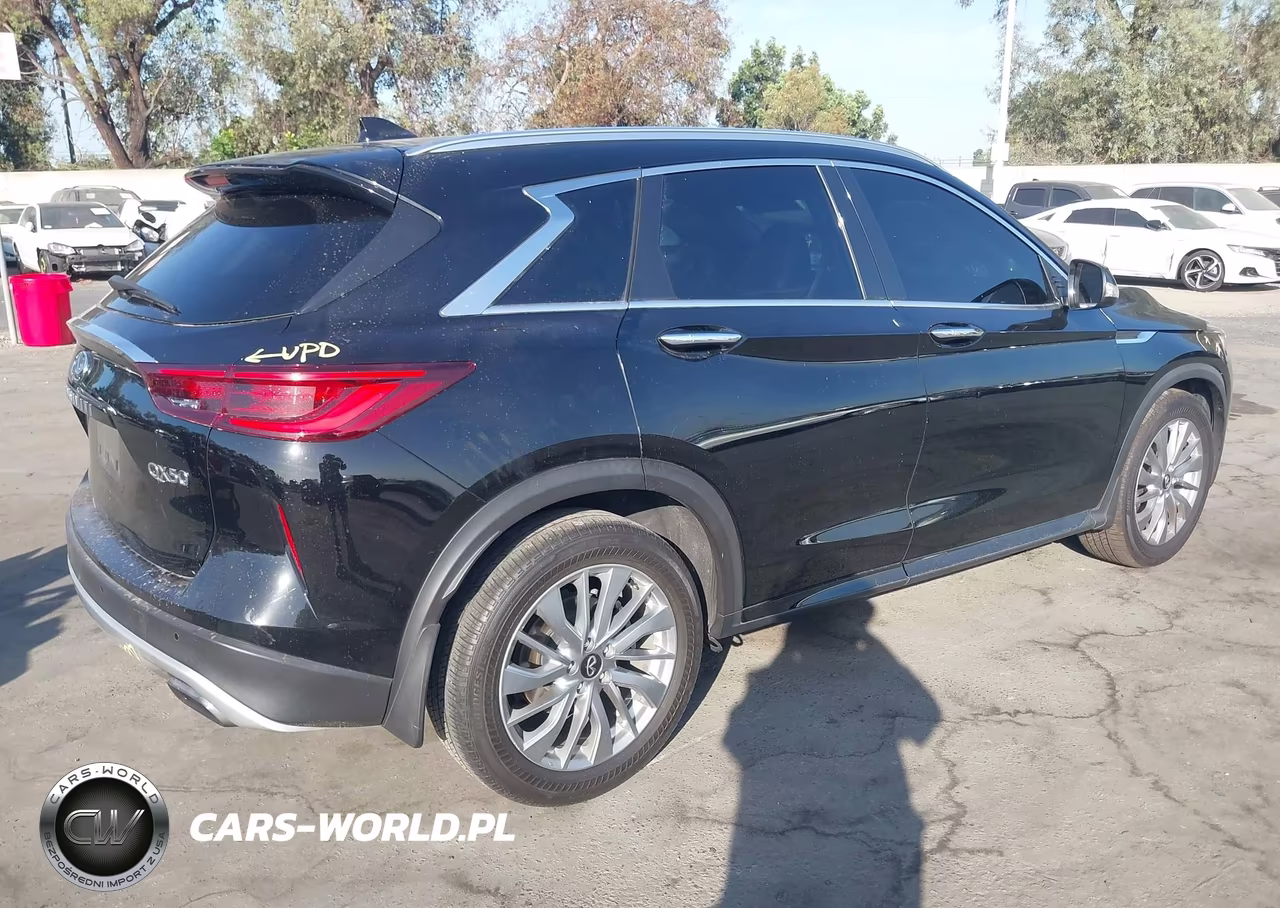 2023 Infiniti Qx50 Luxe VIN:3PCAJ5BAXPF103202 - 4