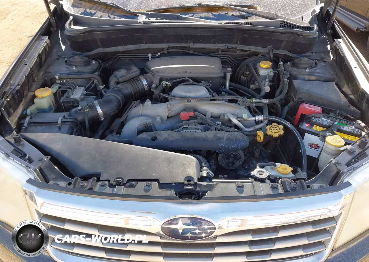 2010 Subaru Forester 2.5X Premium VIN:JF2SH6CC2AH767346 - 10