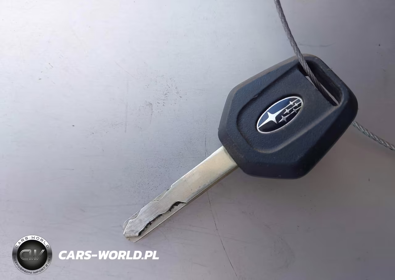 2010 Subaru Forester 2.5X Premium VIN:JF2SH6CC2AH767346 - 11