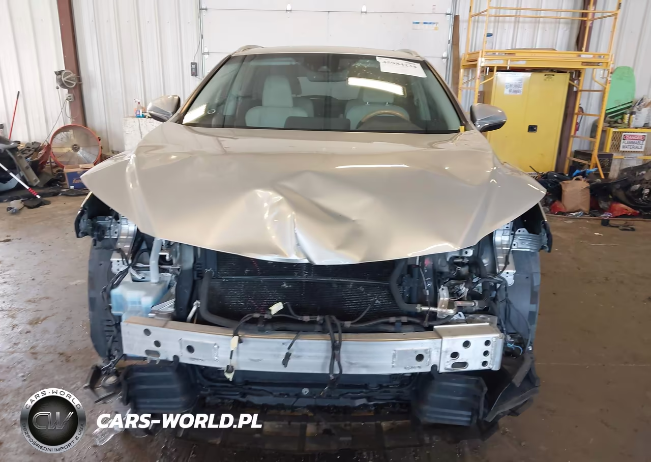 2019 Lexus Rx 450Hl Premium VIN:JTJDGKCA4K2006272 - 12