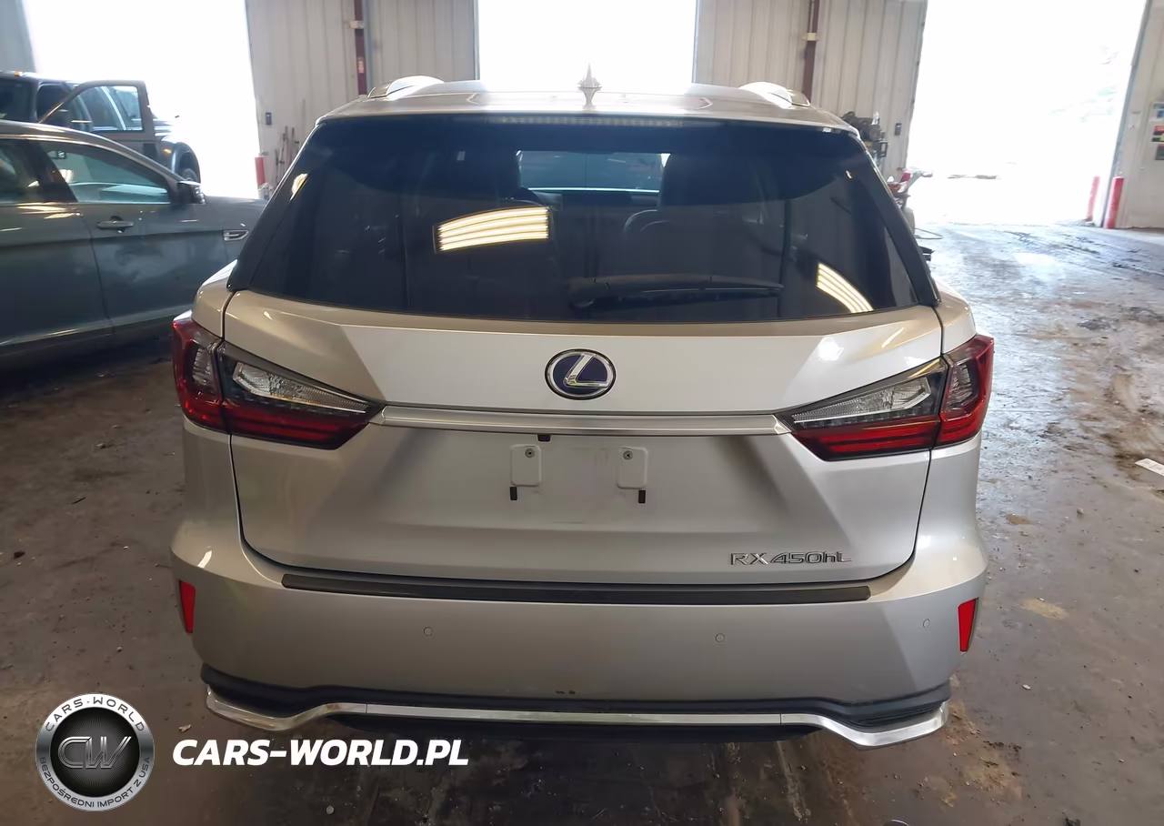 2019 Lexus Rx 450Hl Premium VIN:JTJDGKCA4K2006272 - 16