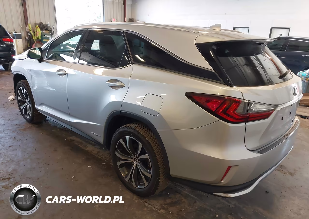 2019 Lexus Rx 450Hl Premium VIN:JTJDGKCA4K2006272 - 3
