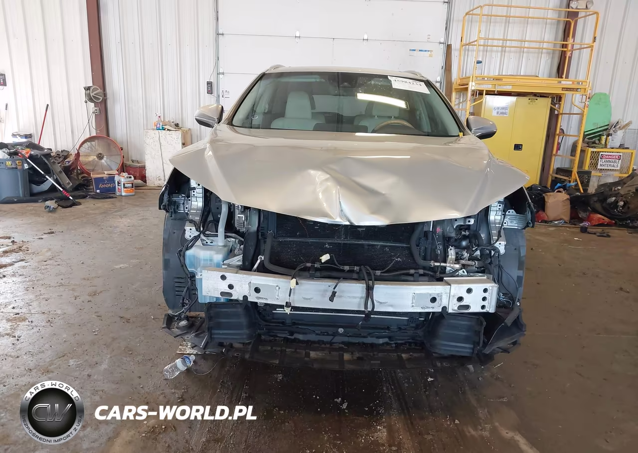 2019 Lexus Rx 450Hl Premium VIN:JTJDGKCA4K2006272 - 6