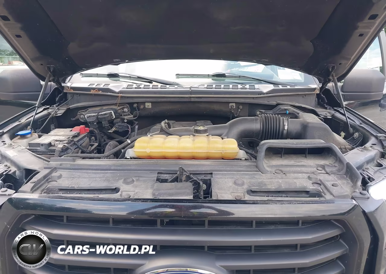 2017 Ford F-150 Xl VIN:1FTEX1EP8HFC74861 - 10